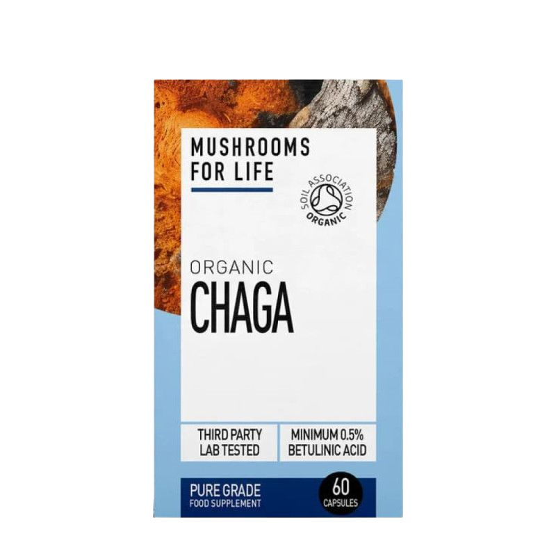 Maisto papildas „Organic Chaga”, N60