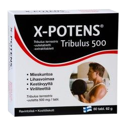 Gulsčiosios ragužės ekstraktas - X-POTENS TRIBULUS, N60